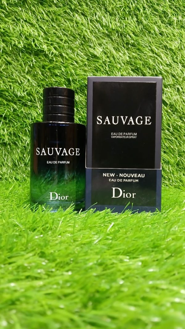 Dior Sauvage Eau De Perfume | Long Lasting Fragrance - 100ml